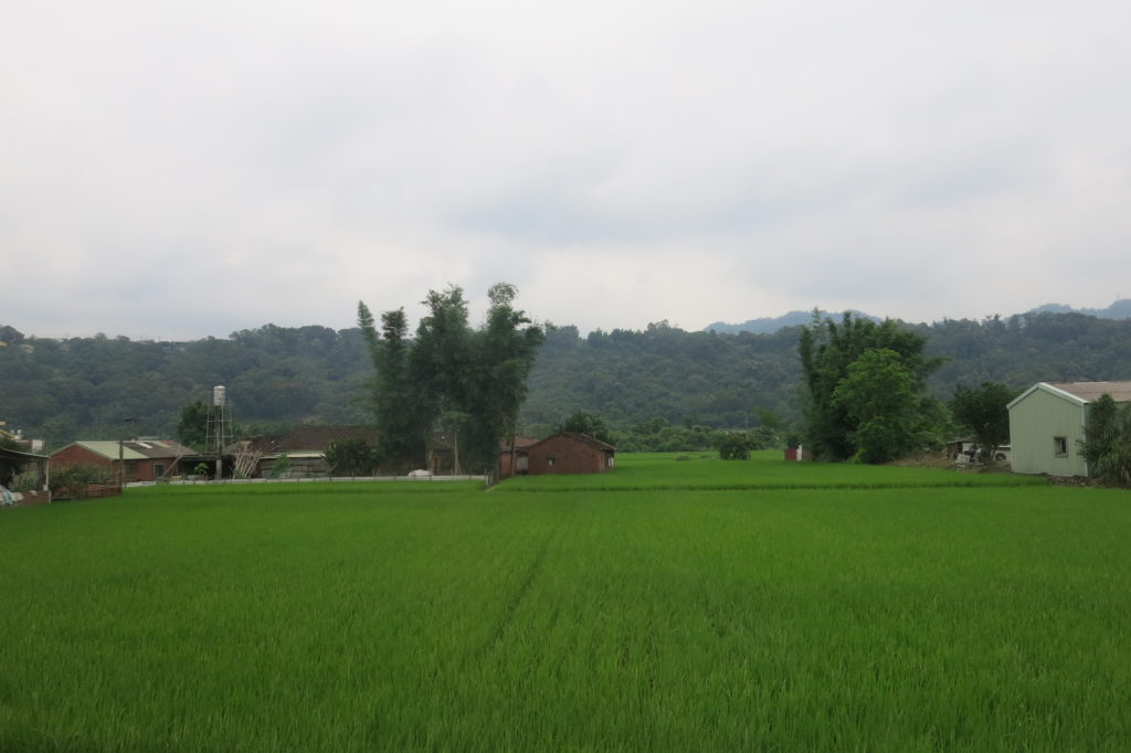 Taoyuan city attractions: