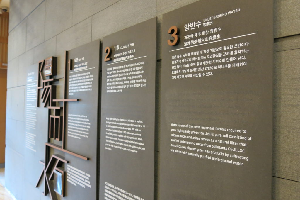Jeju Island Travel Guide: O’sulloc Tea Museum 오설록티뮤지엄