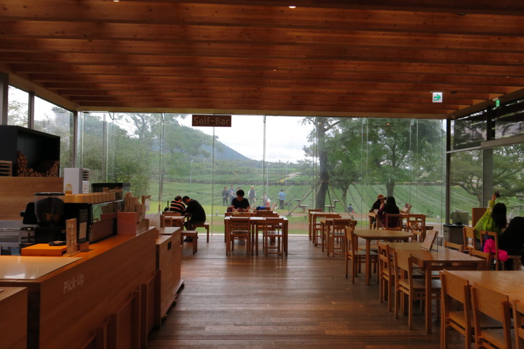 Jeju Island Travel Guide: Innisfree 이니스프리