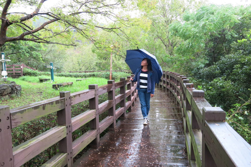 Jeju Island Travel Guide: Cheonjiyeon Falls 천지연폭포