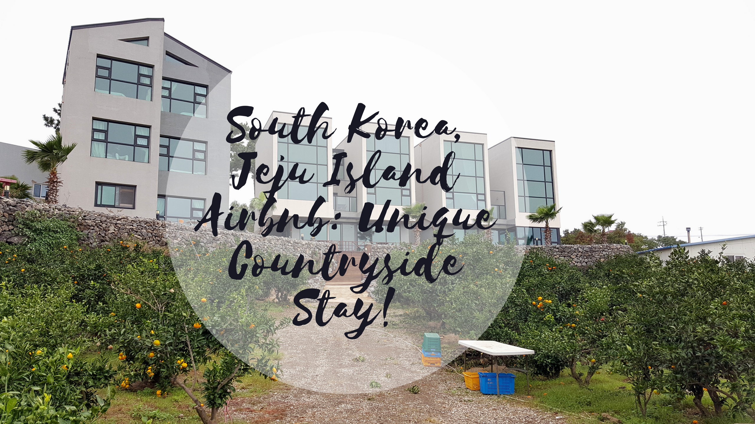 Best Place To Stay In Jeju Island: Unique Countryside Airbnb Stay!