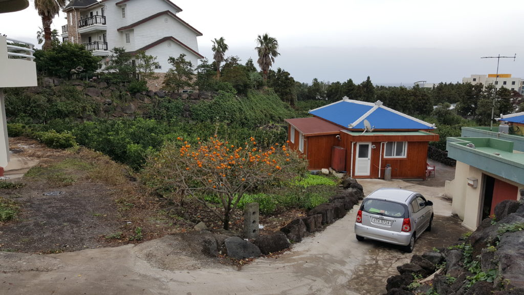 Jeju Island Airbnb
