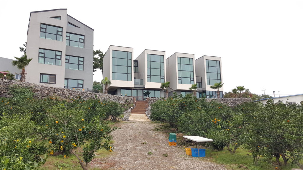 Jeju Island Airbnb