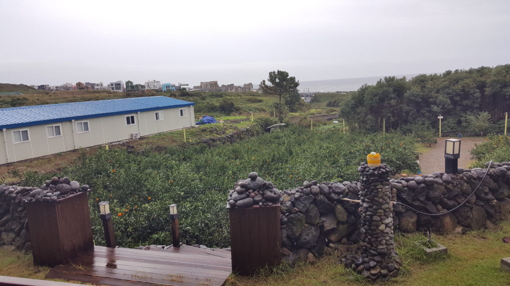 Jeju Island Airbnb