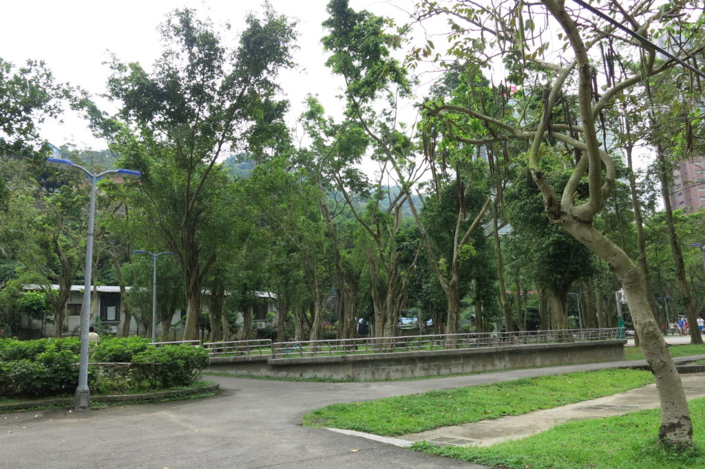 Elephant mountain Taipei 101