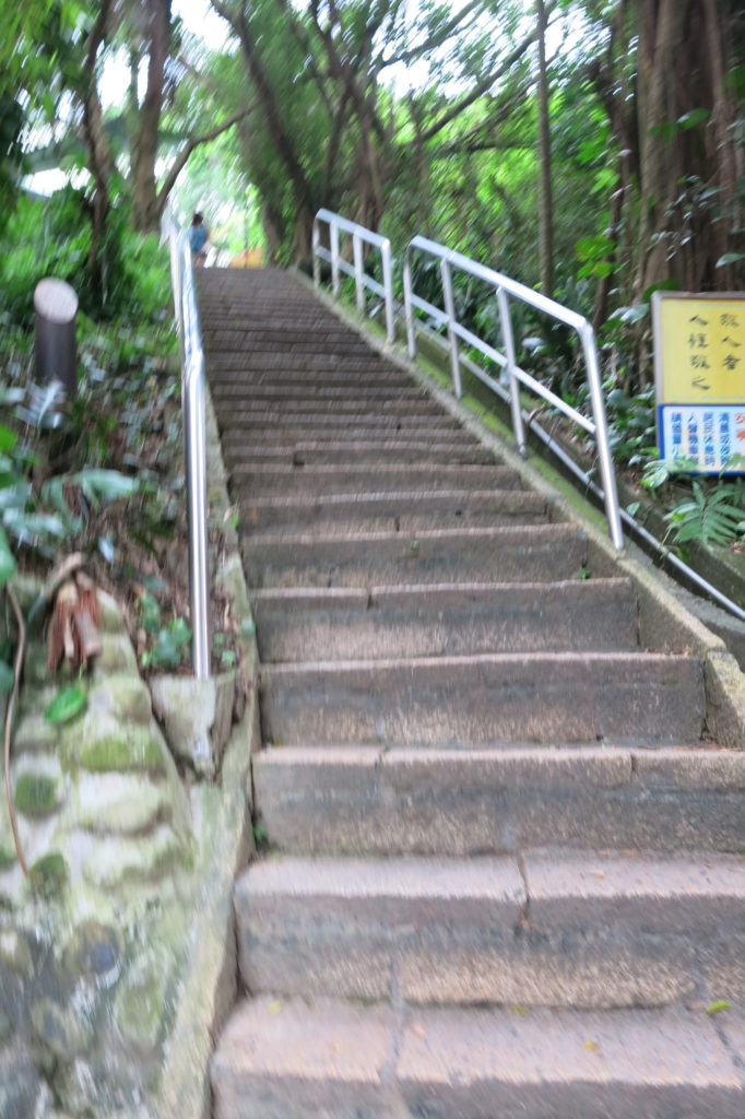 Elephant mountain taipei attraction