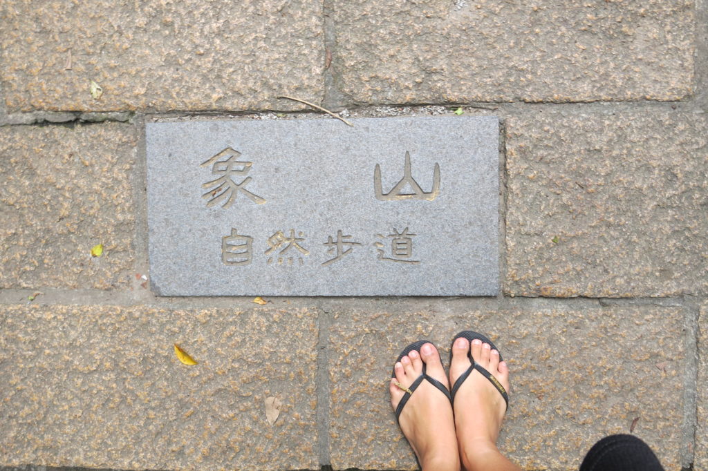 Elephant mountain taipei attraction