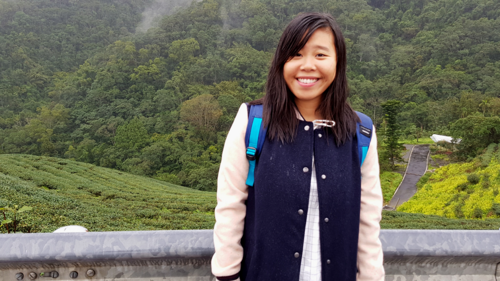 Bagua tea plantation 八卦茶園