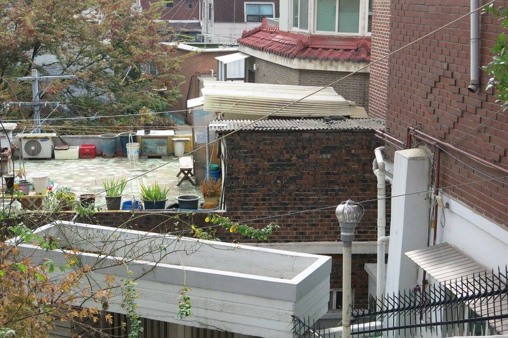 Korea Roof top house