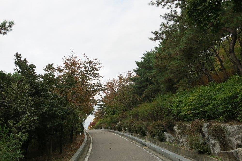 Naksan Park: N-Seoul Tower