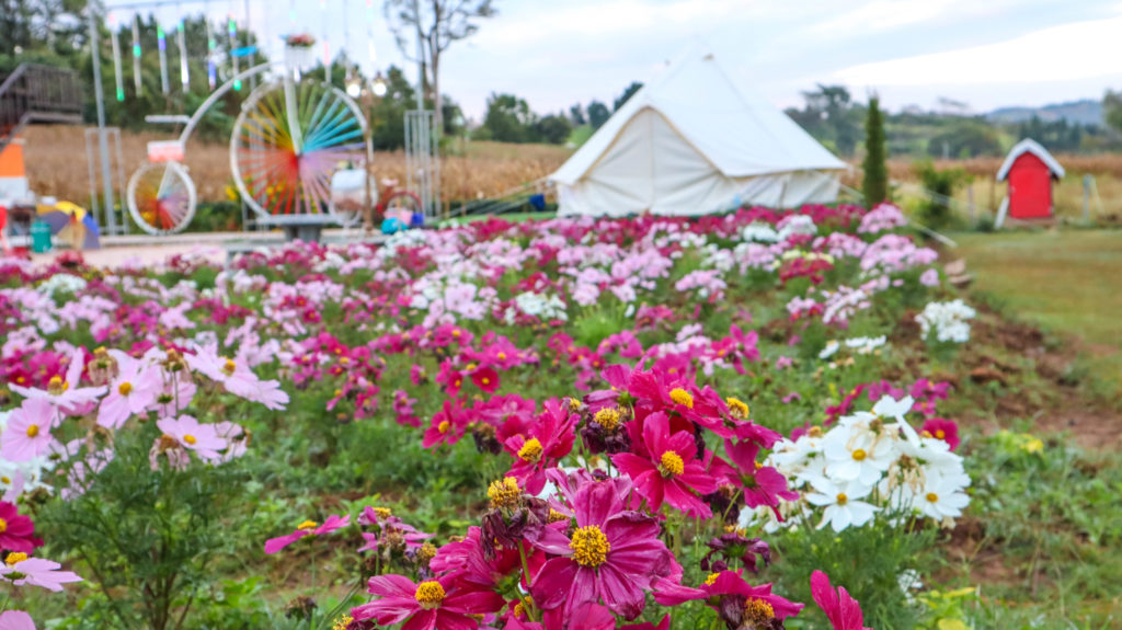 Khao kho Thailand Accommodation: Bankhaokho Village