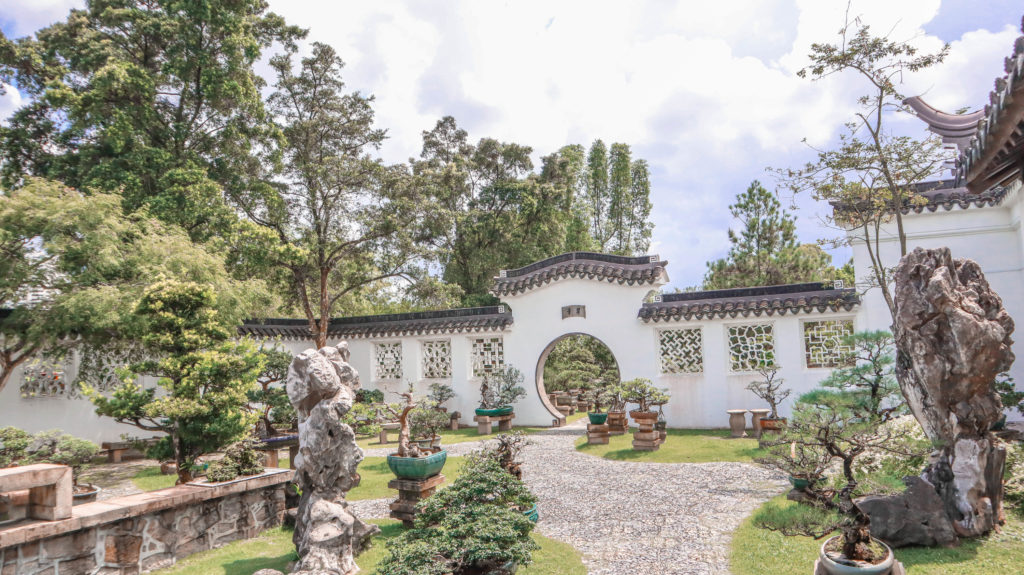 Chinese Garden: Bonsai Garden