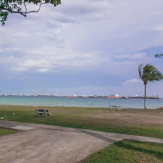 Free things to do in Singapore: Cycle at East Coast Park