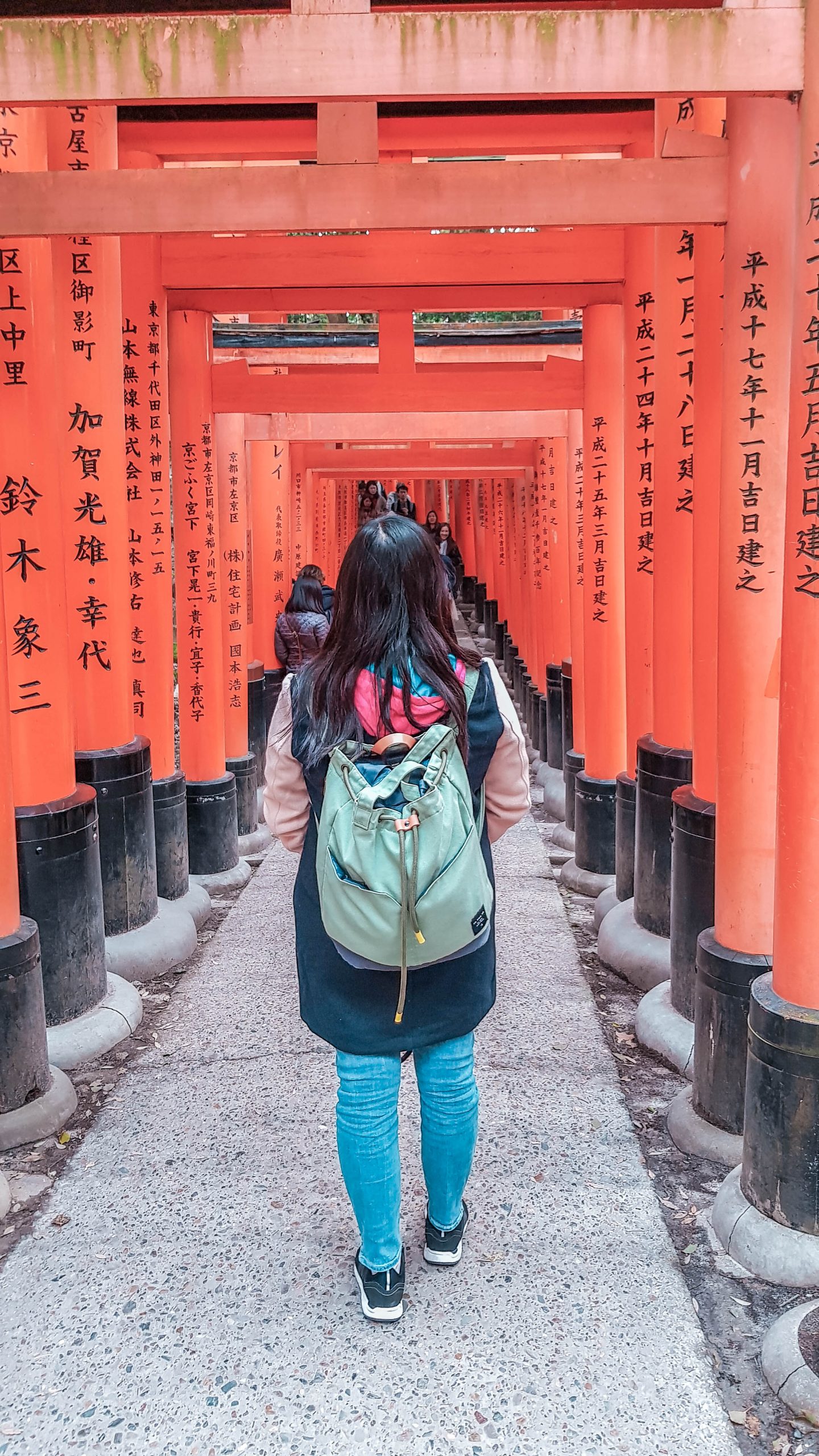 Kyoto one day itinerary: Torii gates at Fushimi Inari 