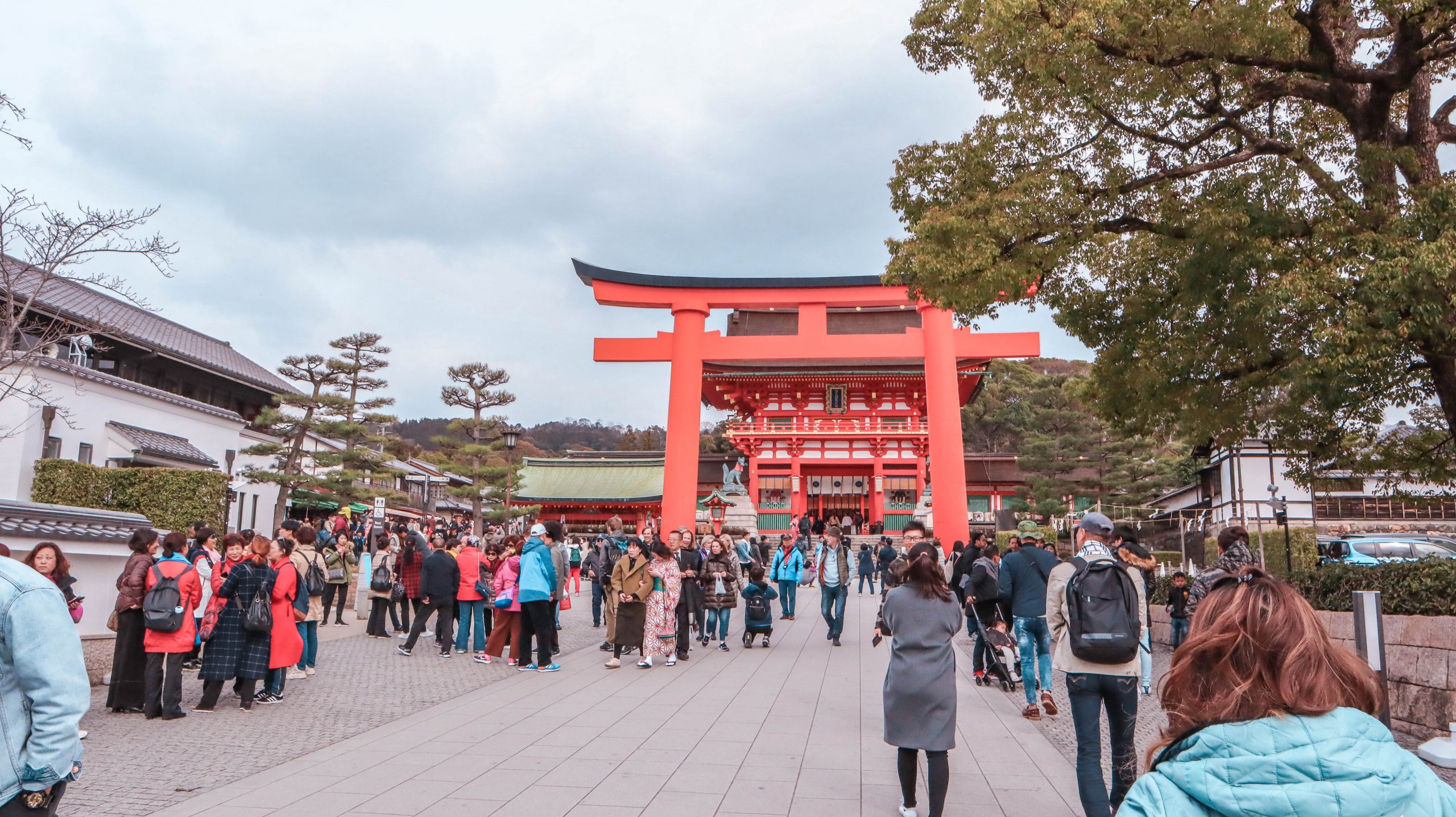 Kyoto one day itinerary: Torii gates at Fushimi Inari 