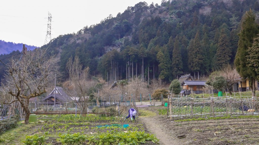 Things to do in Miyama Kyoto traditional village