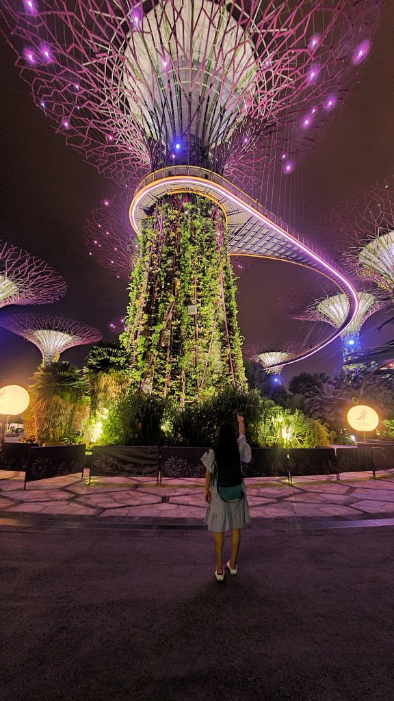 Instagram worthy places in Singapore, Supertree grove in the night at Gardens by the bay