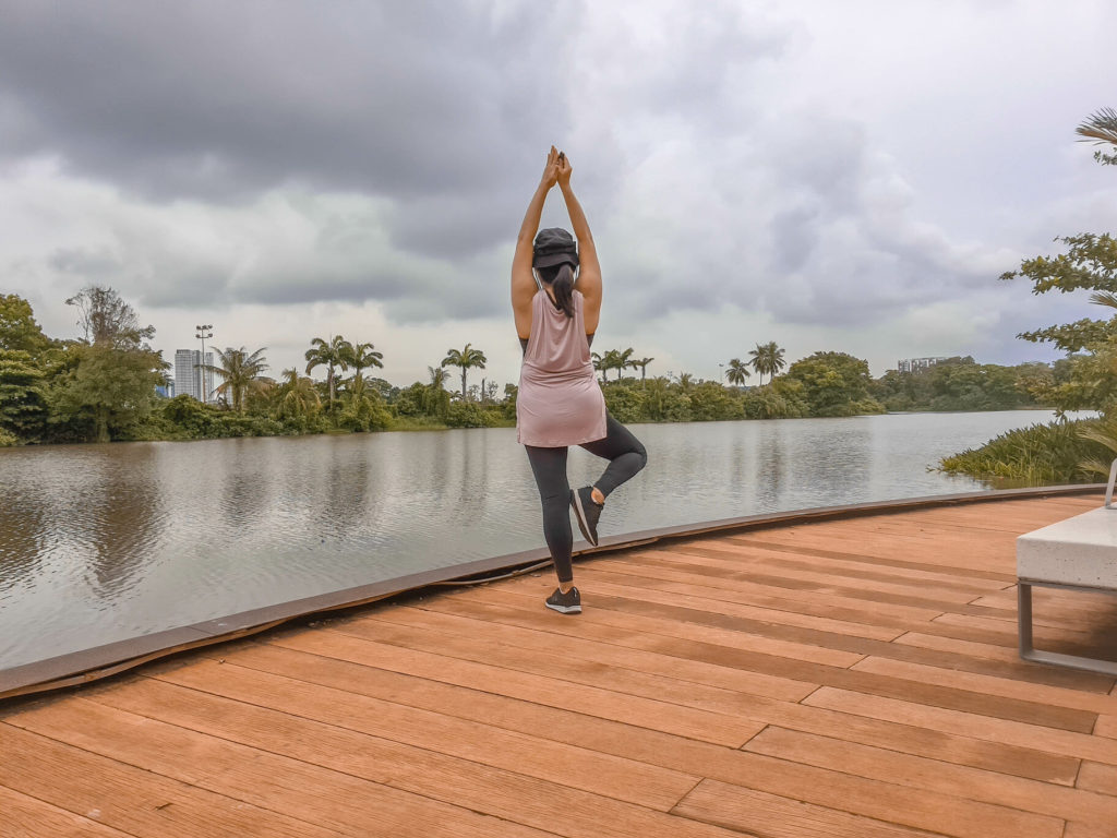 Rediscover singapore at Jurong lake gardens