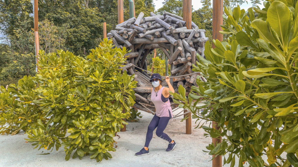 Forest ramble at Jurong lake gardens