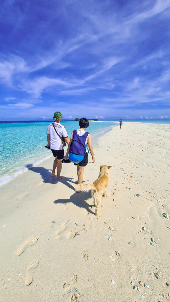 Things to do in Semporna: Moses walk